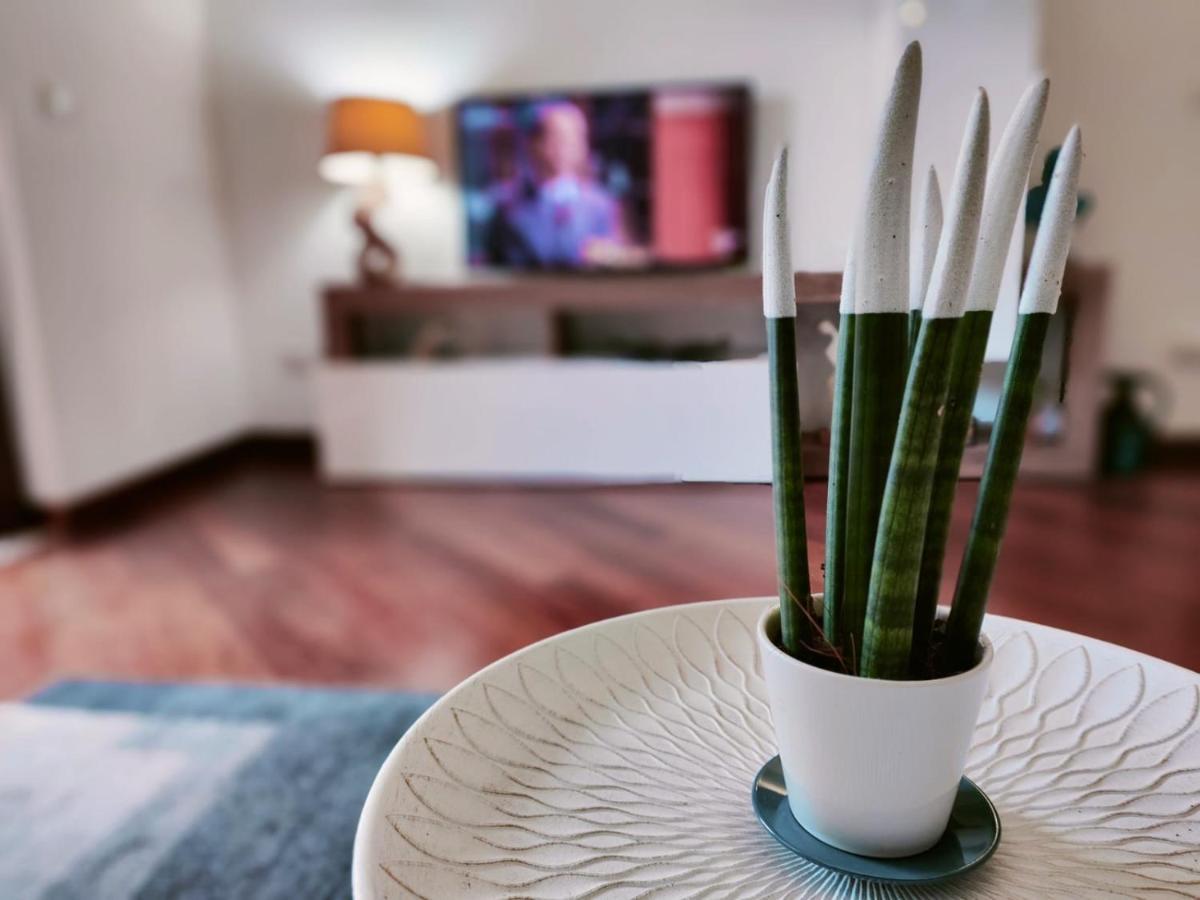 شقة Ada'S Garden House روما المظهر الخارجي الصورة